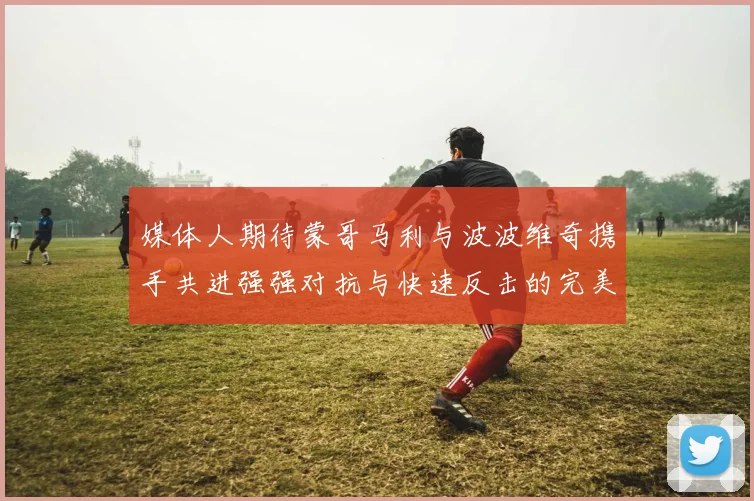 媒体人期待蒙哥马利与波波维奇携手共进强强对抗与快速反击的完美结合