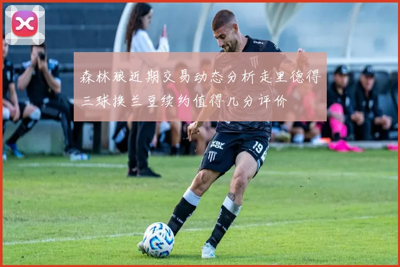 森林狼近期交易动态分析走里德得三球换兰豆续约值得几分评价